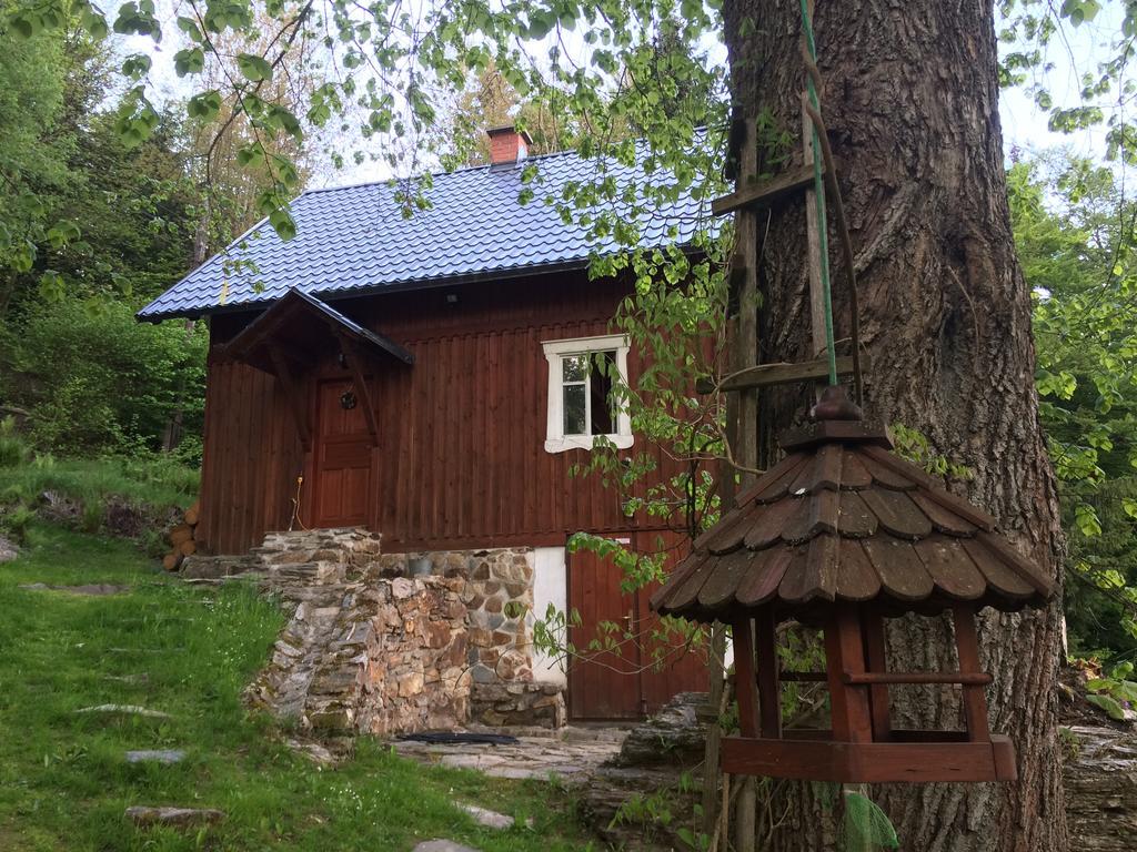 Chalupa Pod Skalou Ii. Villa Paseky nad Jizerou Exterior foto