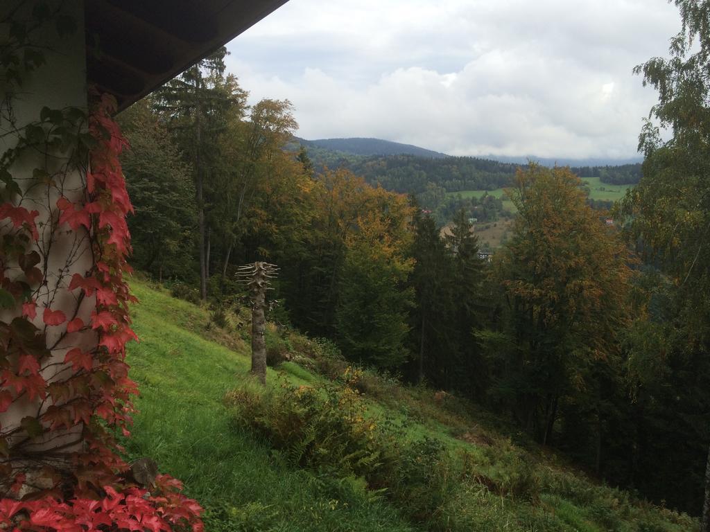 Chalupa Pod Skalou Ii. Villa Paseky nad Jizerou Exterior foto